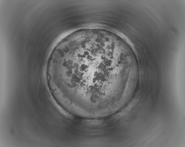 X0000113311429200910051054