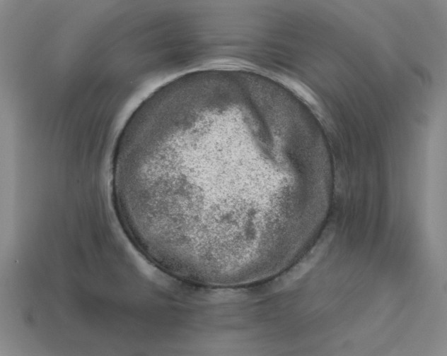 X0000113311430200910051054