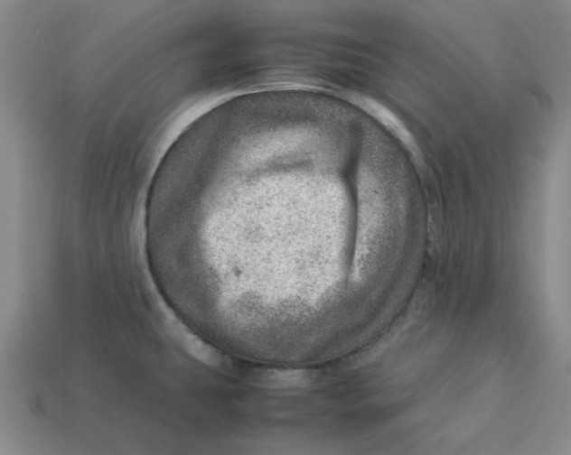 X0000113311431200910051054