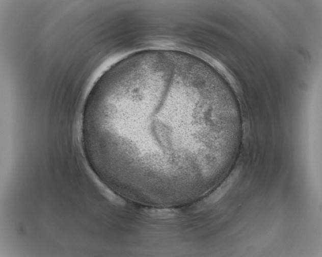 X0000113311432200910051054