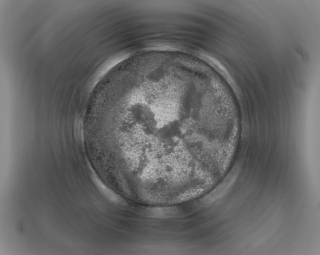 X0000113311433200910051054