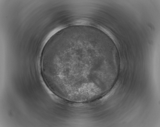 X0000113311434200910051054