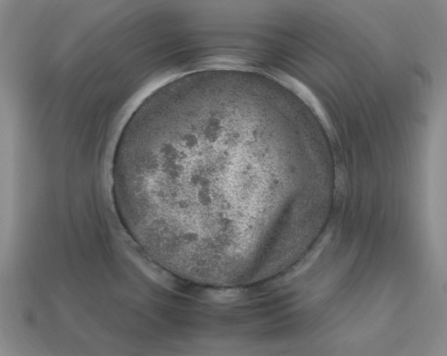 X0000113311435200910051054