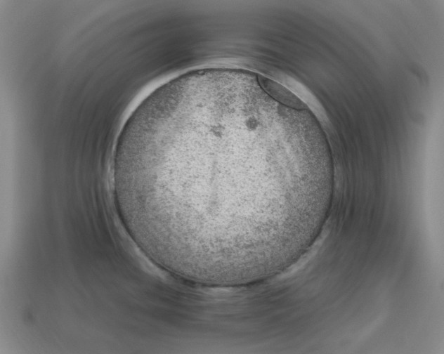 X0000113311436200910051054