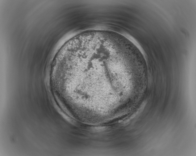 X0000113311437200910051054