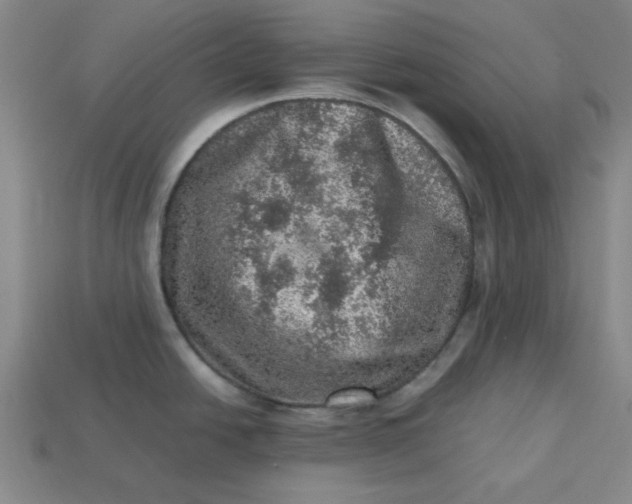 X0000113311438200910051054