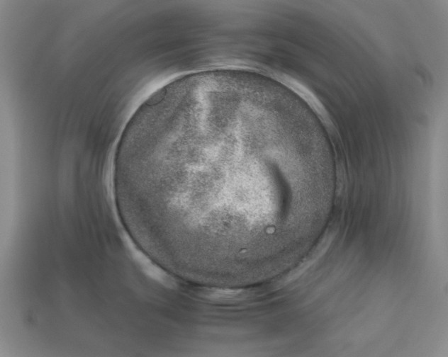 X0000113311439200910051054