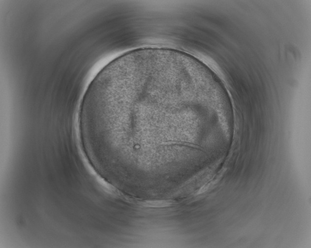 X0000113311440200910051054