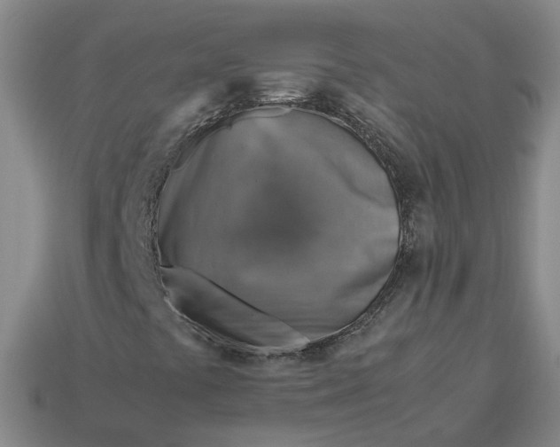 X0000113311441200910051053