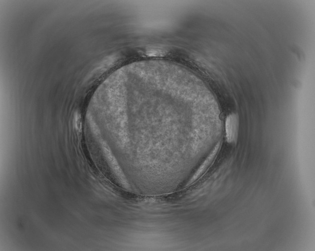 X0000113311443200910051053