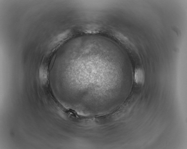 X0000113311444200910051053