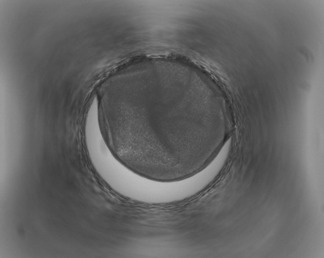 X0000113311445200910051053