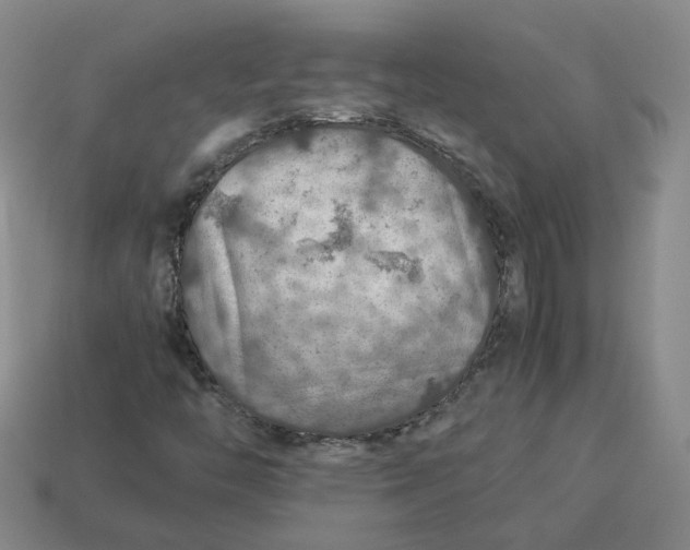 X0000113311446200910051053