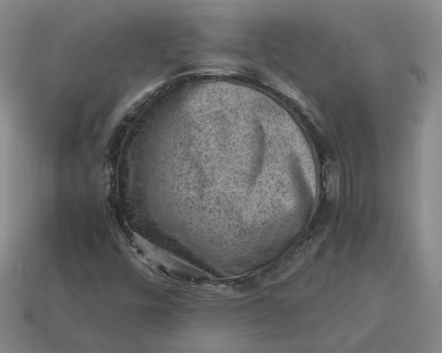 X0000113311448200910051053