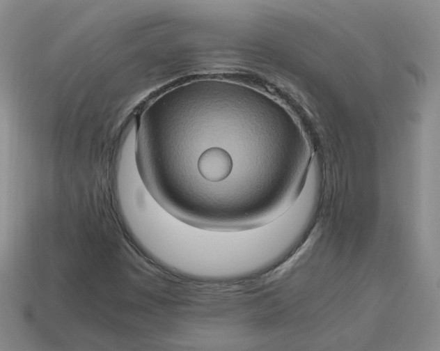 X0000113311449200910051053