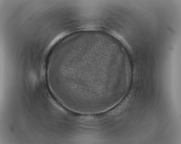 X0000113311450200910051053