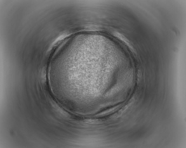 X0000113311451200910051053