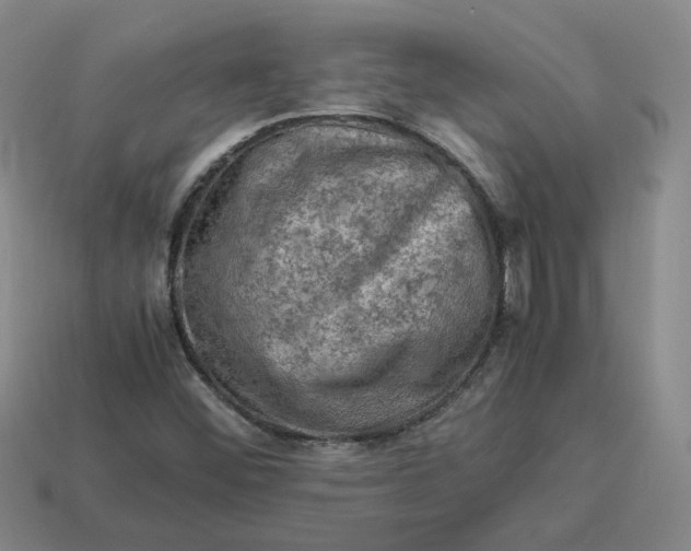 X0000113311452200910051053