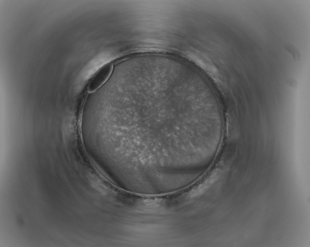 X0000113311453200910051053