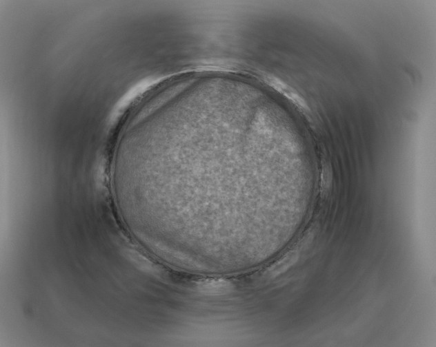 X0000113311454200910051053