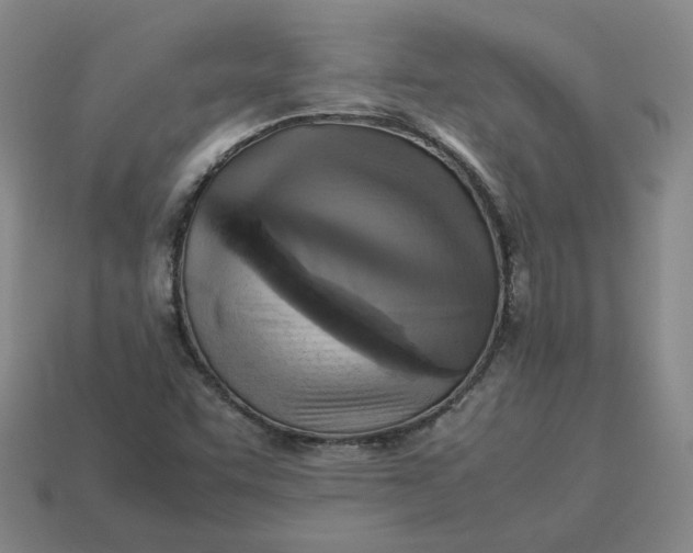 X0000113311455200910051053