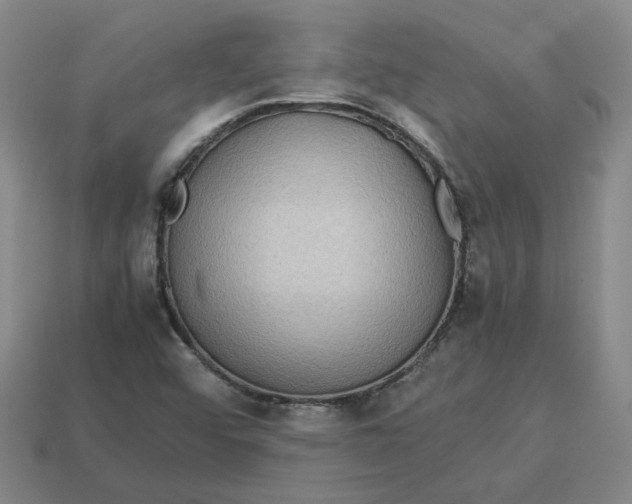 X0000113311456200910051053