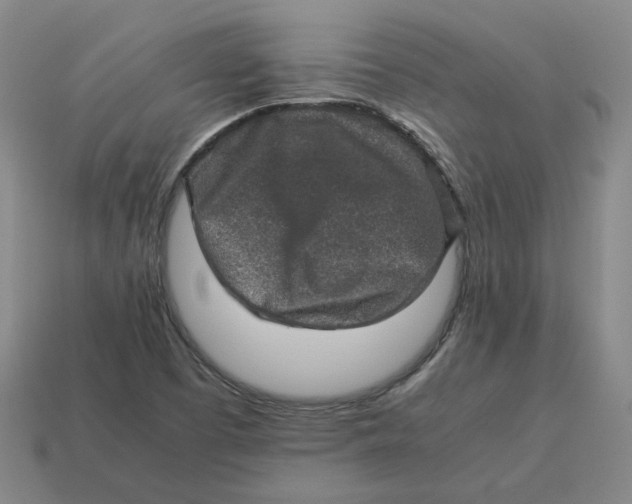 X0000113311457200910051053