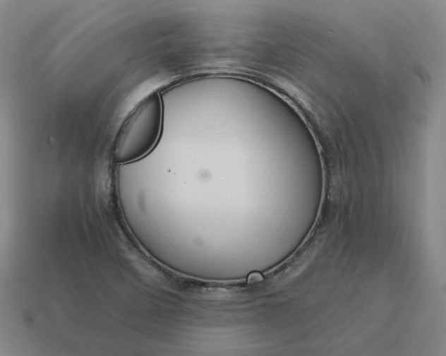 X0000113311458200910051053