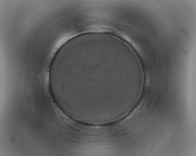 X0000113311459200910051053