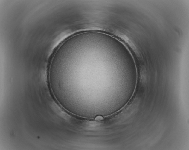 X0000113311460200910051053