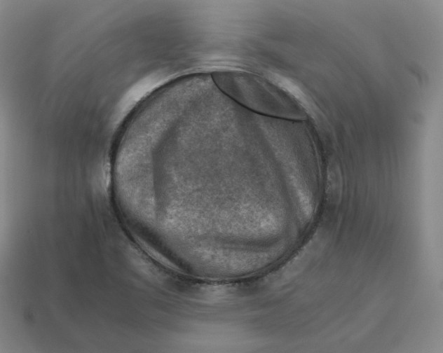 X0000113311461200910051053