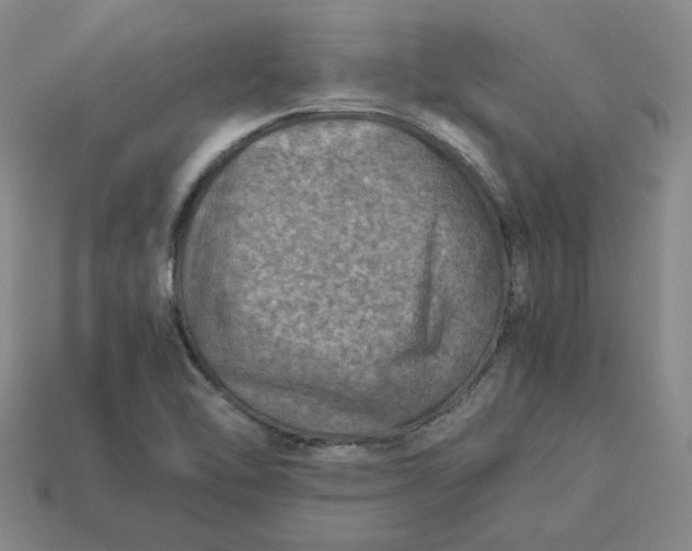 X0000113311462200910051053