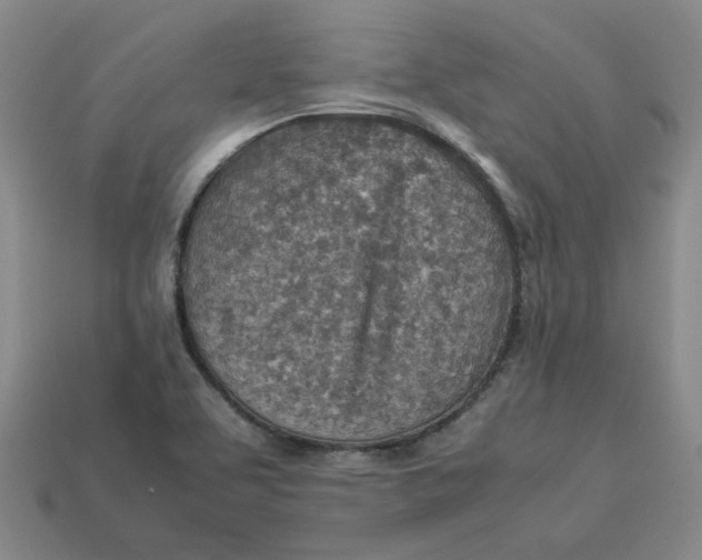 X0000113311463200910051053