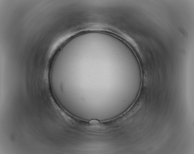 X0000113311464200910051053