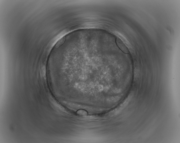 X0000113311465200910051053