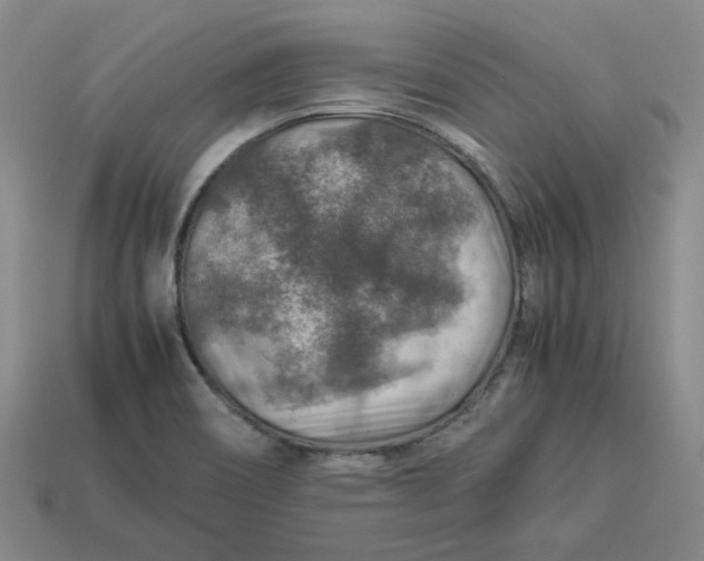 X0000113311466200910051053