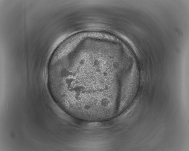 X0000113311467200910051053