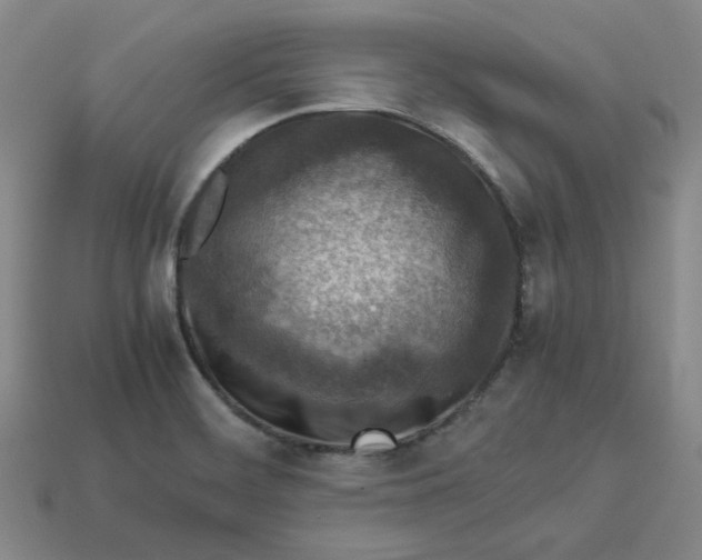 X0000113311468200910051053