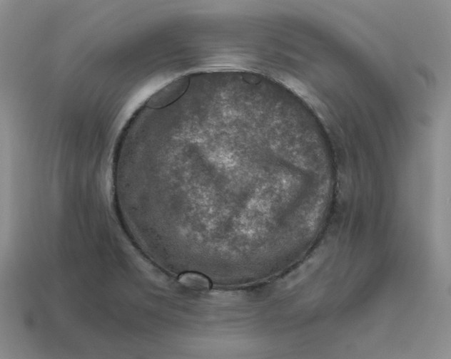 X0000113311469200910051053