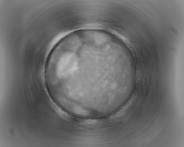 X0000113311470200910051053