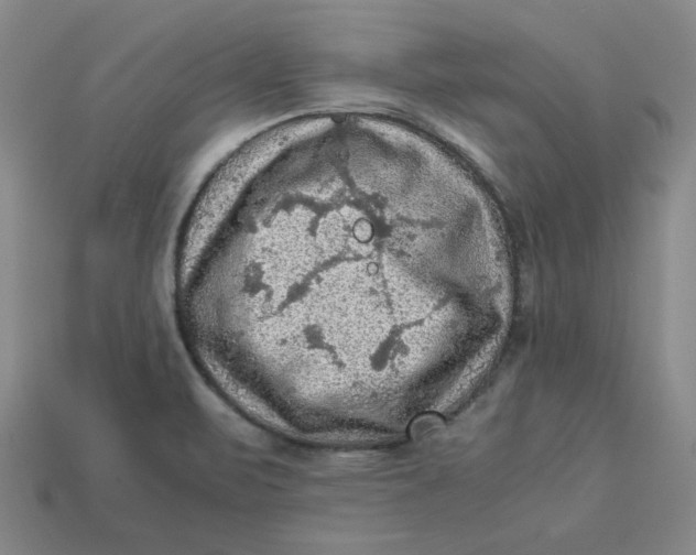 X0000113311471200910051053