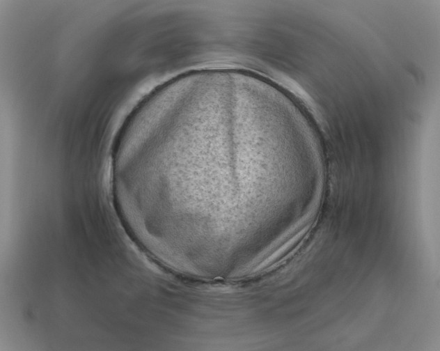 X0000113311472200910051053