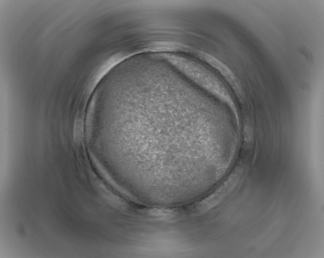 X0000113311473200910051053