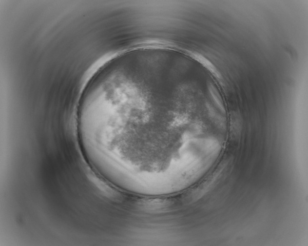 X0000113311474200910051053