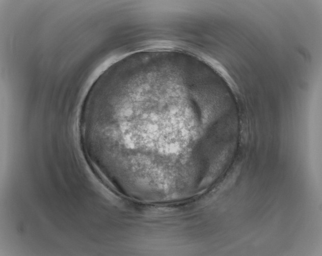 X0000113311475200910051053