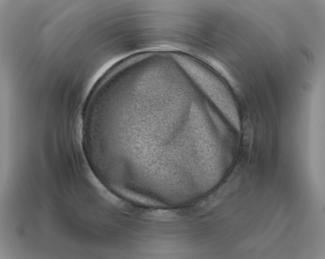 X0000113311476200910051053