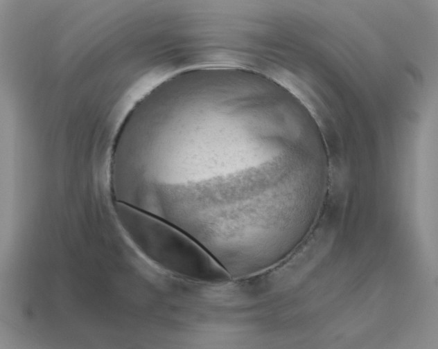 X0000113311477200910051053