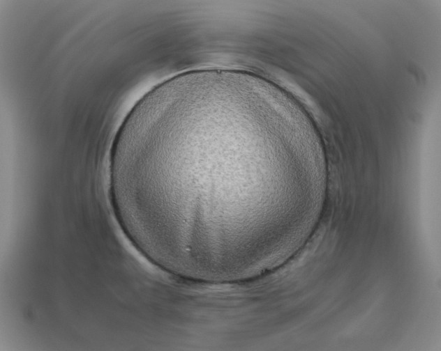 X0000113311479200910051053