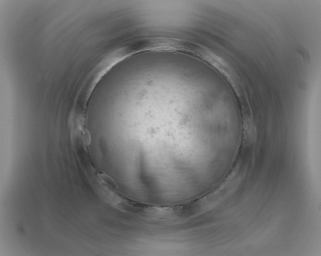 X0000113311481200910051053