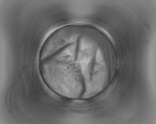 X0000113311483200910051053